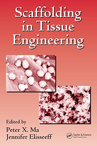 Scaffolding In Tissue Engineering