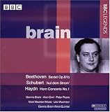 Brain