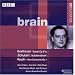 Brain