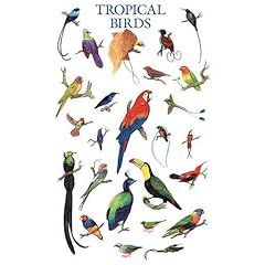 Tropical Birds Poster (Posters)