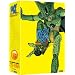 Dragon Ball Z: Dragon Box Four