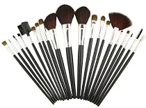 20 Makeup Set Foundation Blush Cosmetic Brush w/ Case Kit
