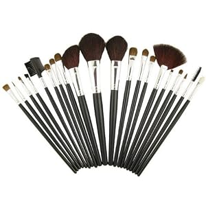 20 Makeup Set Foundation Blush Cosmetic Brush w/ Case Kit