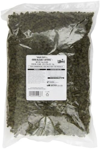 Hikari Usa Inc AHK21466 Mini Algae Wafers 2.2lb by Hikerman 99020262