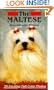The Maltese the Maltese Dog