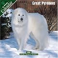 Great Pyrenees 2007 Wall Calendar