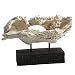 Kitchen & Housewares : Gaiam Driftwood Sculpture, Sandstone 05-0460