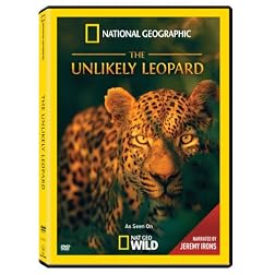 Unlikely Leopard
