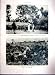 Bamilere View Chief Secret Society Kamveu 1937 Print