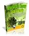 Renewable Energy: Wind Power and Water Power