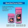 OSI Blood Red Parrot Pellets Small - 6.69 oz. OSI Blood Red Parrot Pellets Small - 6.69 oz.