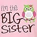 Nursery Decals and More, Matching Family Outfits, Family Outfits Matching Sets, Owl Big Sister/Owl Little Sister, Big Sibling 2T / Lil Sibling NB (0-3M)