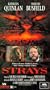 Strays [VHS]