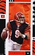 Carson Palmer POSTER Cincinnati Bengals NFL RARE NEW QB - 24" x 36"