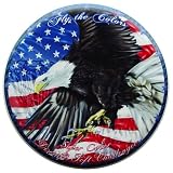 Discraft Special Edition Eagle Soft Challenger