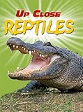 Reptiles