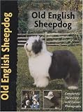 Old English Sheepdog