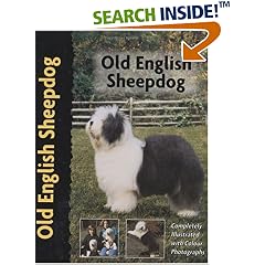 Old English Sheepdog (PetLove)