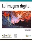 La Imagen Digital / Digital Imaging Essential Skills (Diseno Y Creatividad / Design & Creativity) (Spanish Edition)