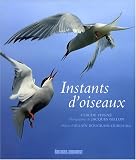 Instants d'oiseaux par Claude Feigné Instants d'oiseaux par Feigné