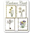 Assorted Botanicals - Set of Four Gift Cards and Vellum Envelopes