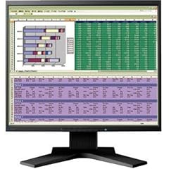 Eizo S1961SH-BK 48,3 cm (19 Zoll) TFT LCD-Monitor analog/digital DVI-D (Kontrast 1500:1, 20ms Reaktionszeit) schwarz