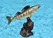 Taxidermy 12 Fiberglass Walleye Fish Sculpture Statue