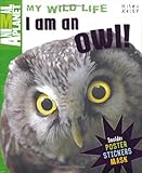 I am an owl !