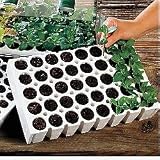 Seed Starting - 40-cell Jumbo Seed Starting Planting Block with 40 Bio Sponges