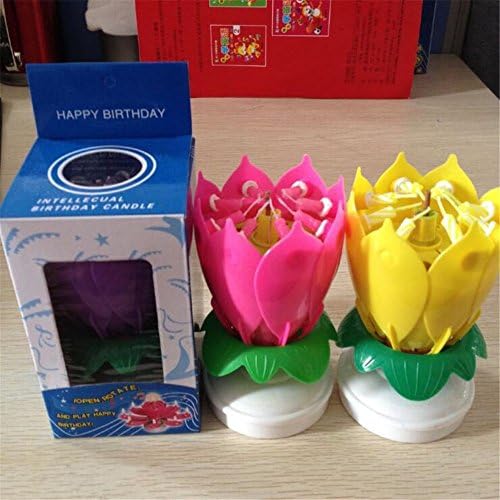 France Wispun Rotating Music Amazing Birthday Candle Flower Special for Birthday (Pink+Yellow)