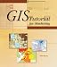 GIS Tutorial for Marketing