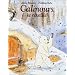 Calinours se r�veille