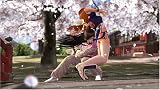 Dead or Alive 4