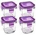 Wean Green Wean Cubes 4oz/120ml Baby Food Glass Containers - Grape (Set of 4)