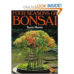Four Seasons of Bonsai
