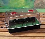 Outdoor Living : Seed Tray Propagator