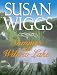 Books : Summer at Willow Lake (Lakeshore Chronicles, Book 1)