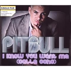 I Know You Want Me (Calle Ocho) (2-Track)