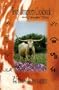 Texas Longhorn Cookbook and Campfire Tales