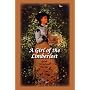 A Girl of the Limberlost