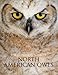 The Complete Book of North American Owls