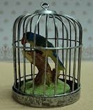 Review Streets Ahead  / Dolls House Parrot in cage