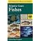 Amateur or beginning marine naturalist?