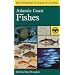 Amateur or beginning marine naturalist?