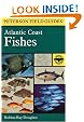 A Field Guide to Atlantic Coast Fishes : North America (Peterson Field Guides)