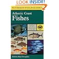 A Field Guide to Atlantic Coast Fishes : North America (Peterson Field Guides)