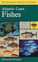 A Field Guide to Atlantic Coast Fishes : North America (Peterson Field Guides)