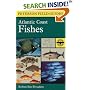 A Field Guide to Atlantic Coast Fishes : North America (Peterson Field Guides)