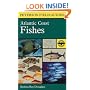 A Field Guide to Atlantic Coast Fishes : North America (Peterson Field Guides)