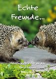 Echte Freunde 2012. Trends & Classics